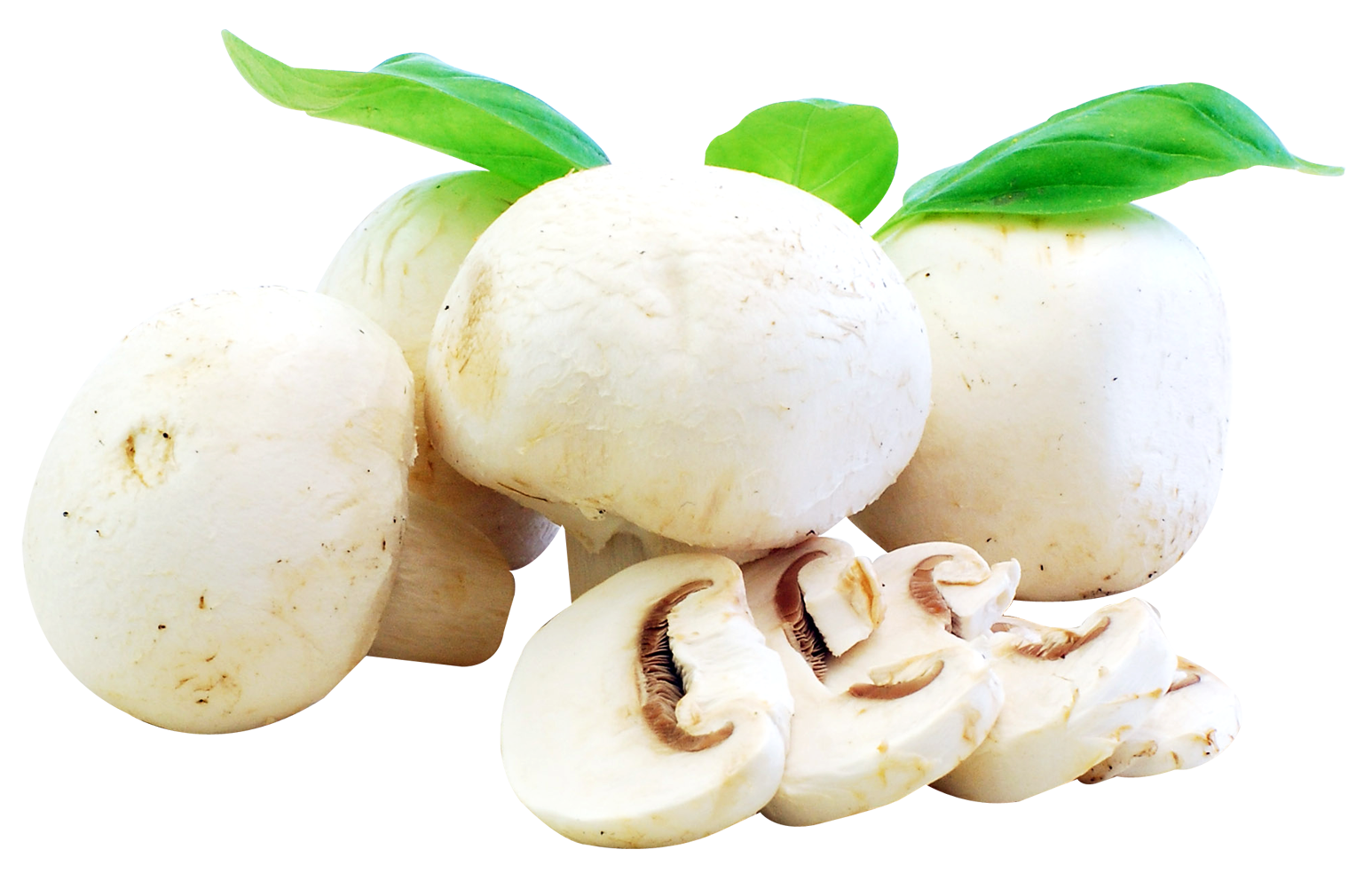 Fresh White Mushrooms Isolated