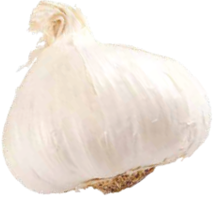 Fresh Whole Garlic Bulb