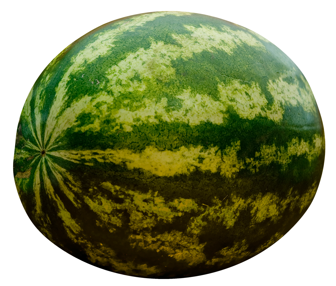 Fresh Whole Watermelon Image