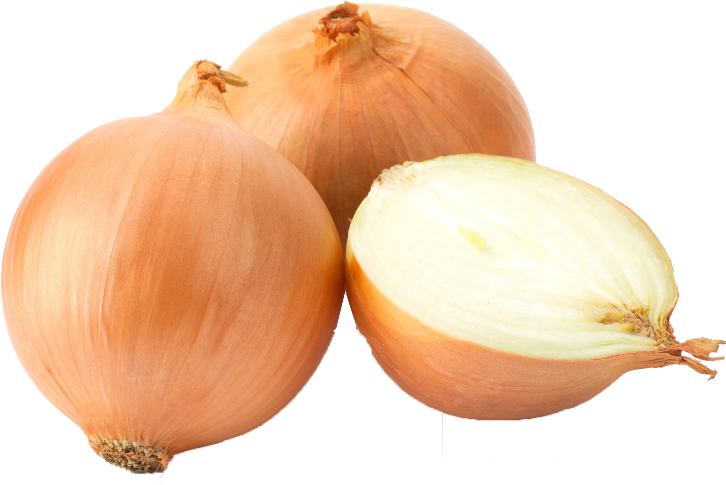 Fresh Wholeand Half Onion