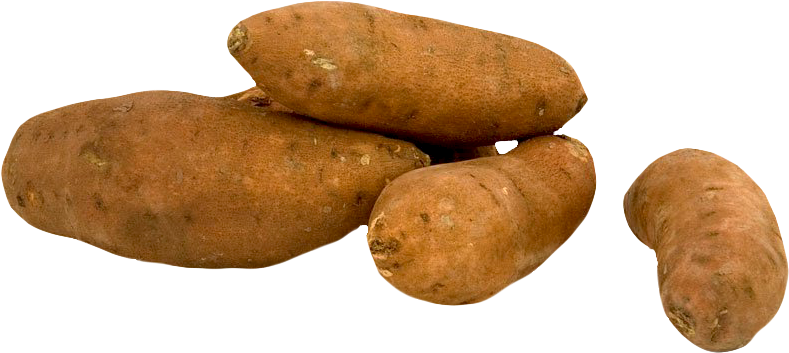 Fresh Yams Isolatedon Background