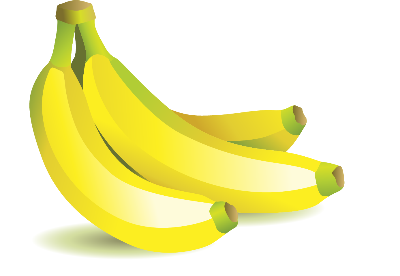 Fresh Yellow Bananas Illustration