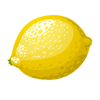 Fresh Yellow Lemon Illustration