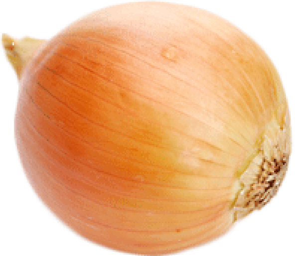 Fresh Yellow Onion