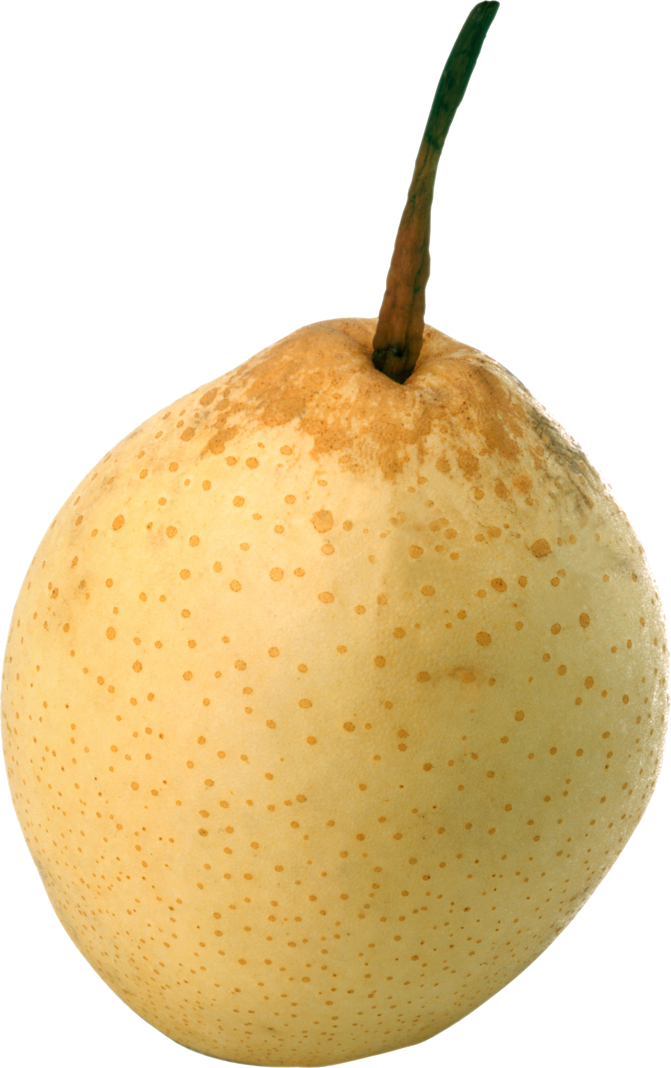 Fresh Yellow Pear Single Isolated