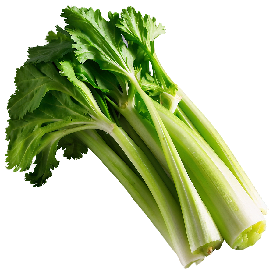 Freshly Cut Celery Png 52