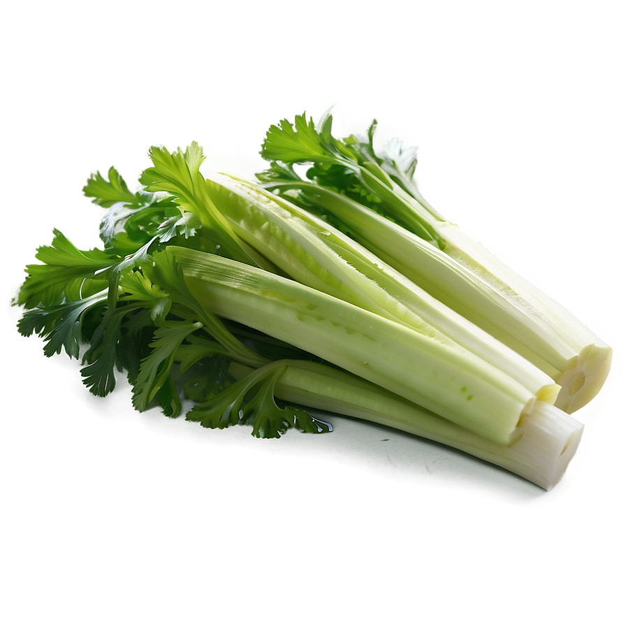 Freshly Cut Celery Png 61