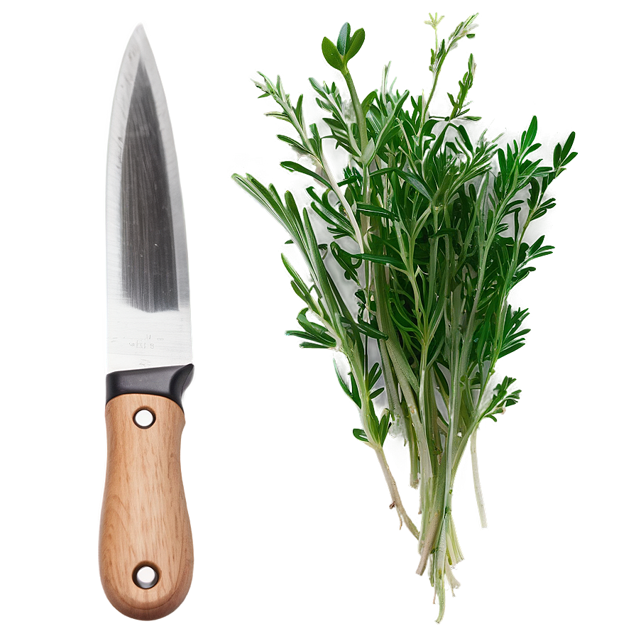 Freshly Cut Herb Png 57