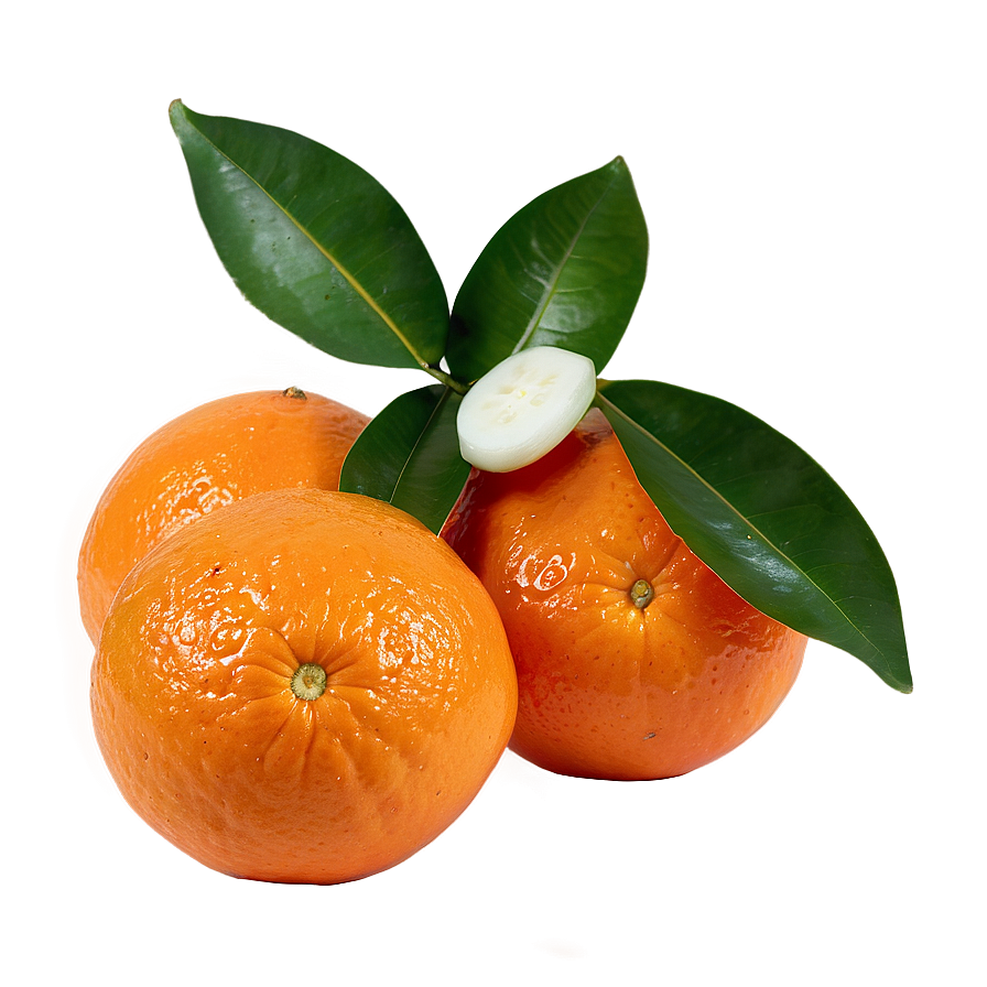 Freshly Picked Organic Oranges Png Ess45