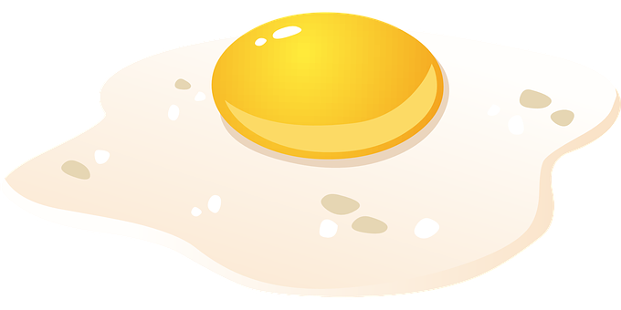 Fried Egg Vector Illustration