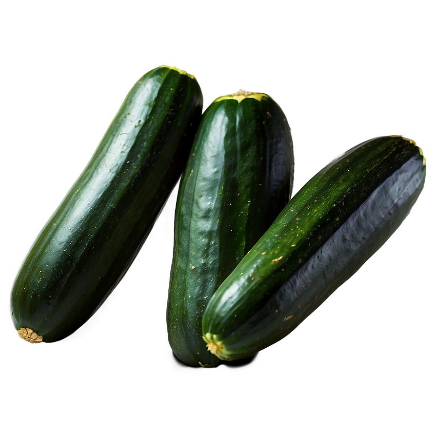 Fried Zucchini Png 06122024