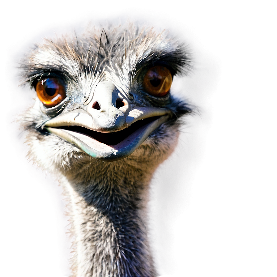 Friendly Emu Png Rjy20