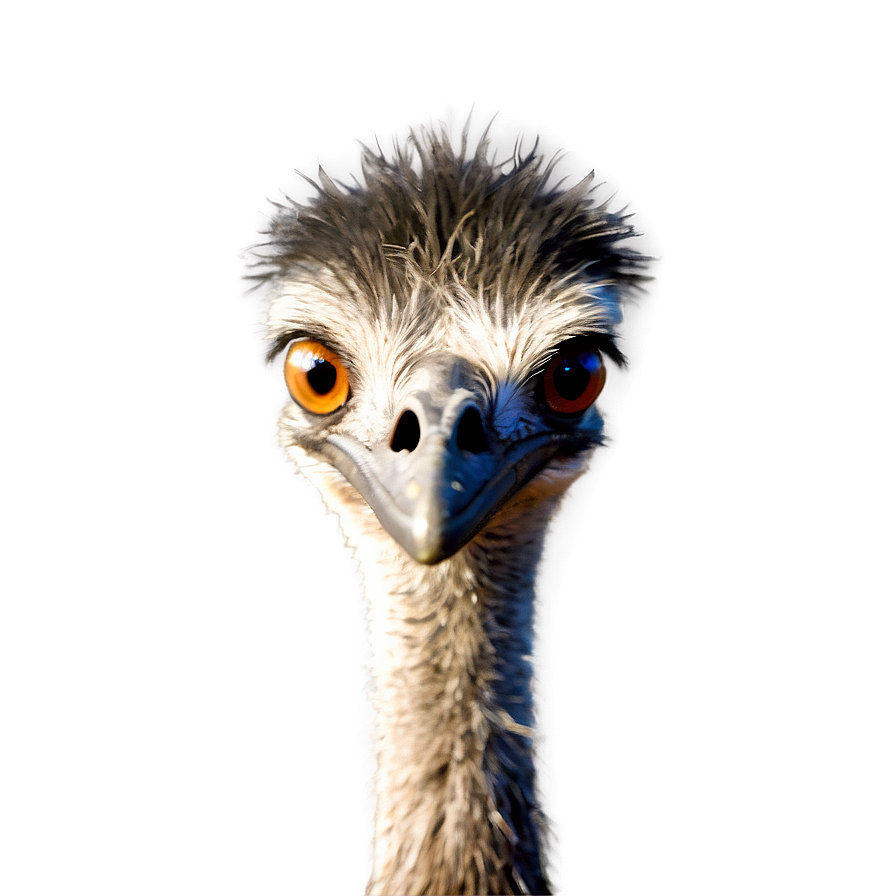 Friendly Emu Png Wqh79