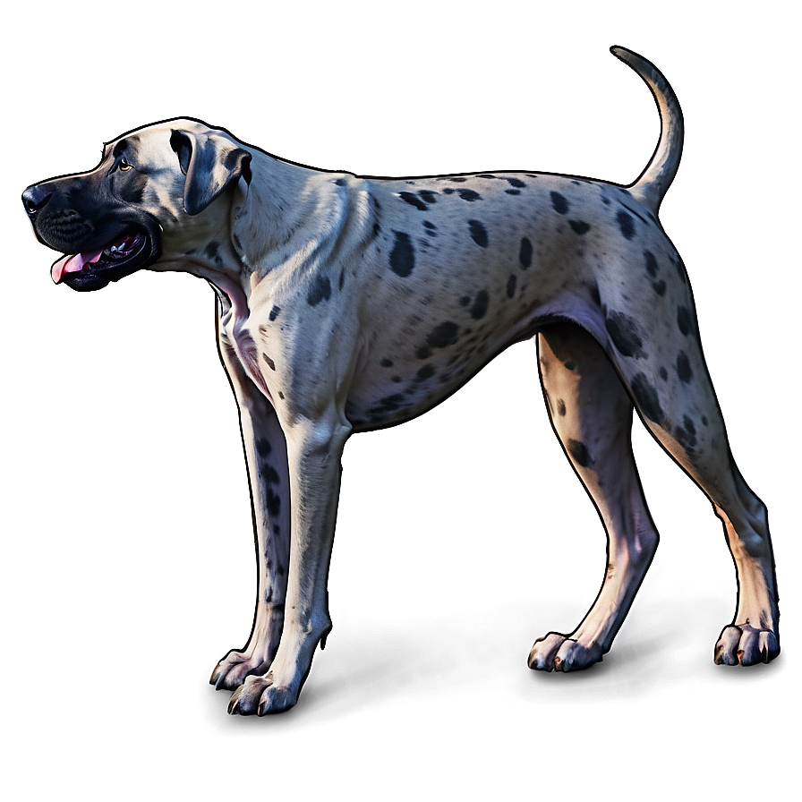 Friendly Great Dane Png 06212024