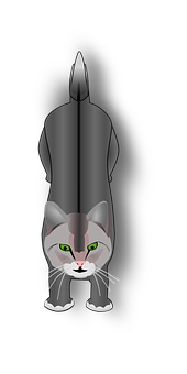 Front Facing Gray Cat Illustration