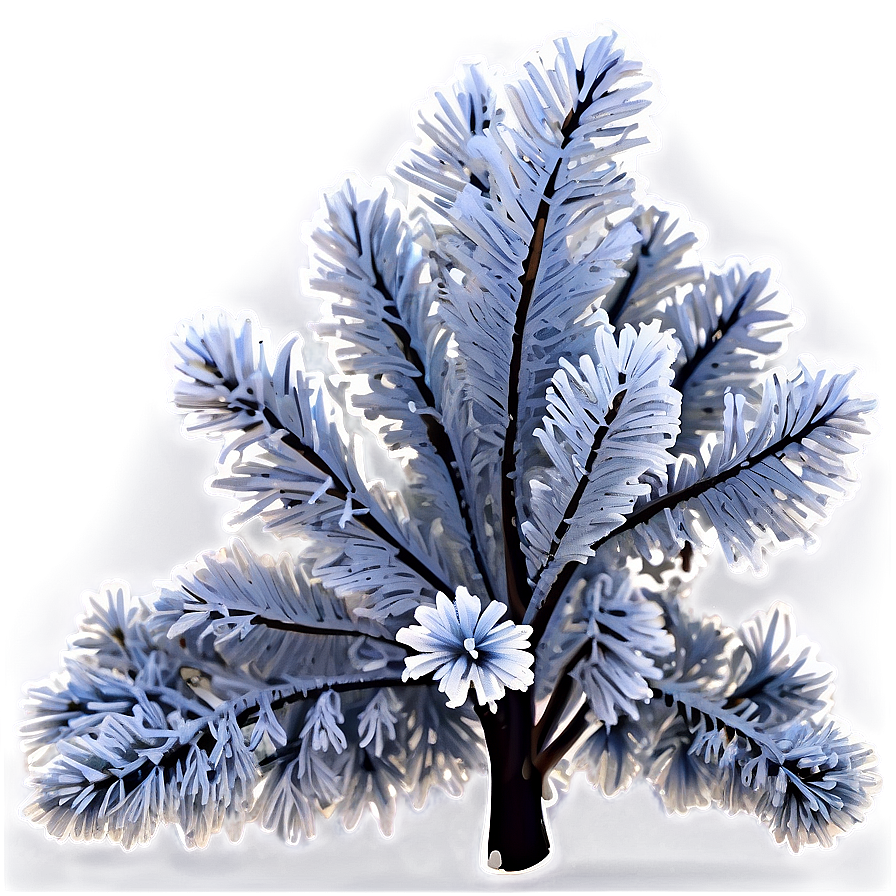 Frost Covered Bush Png 6