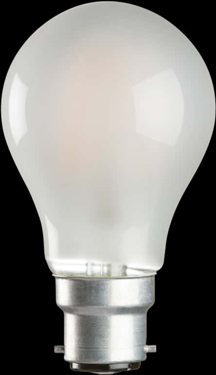 Frosted Incandescent Light Bulb