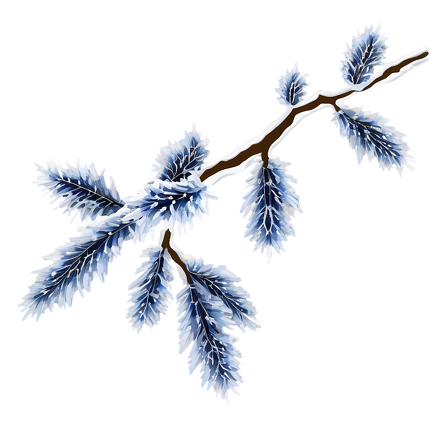 Frosted Tree Branch Png 05252024