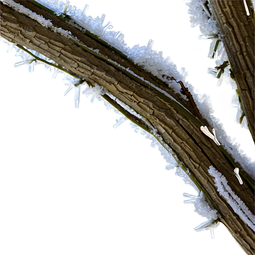 Frosted Tree Branch Png Ssc57