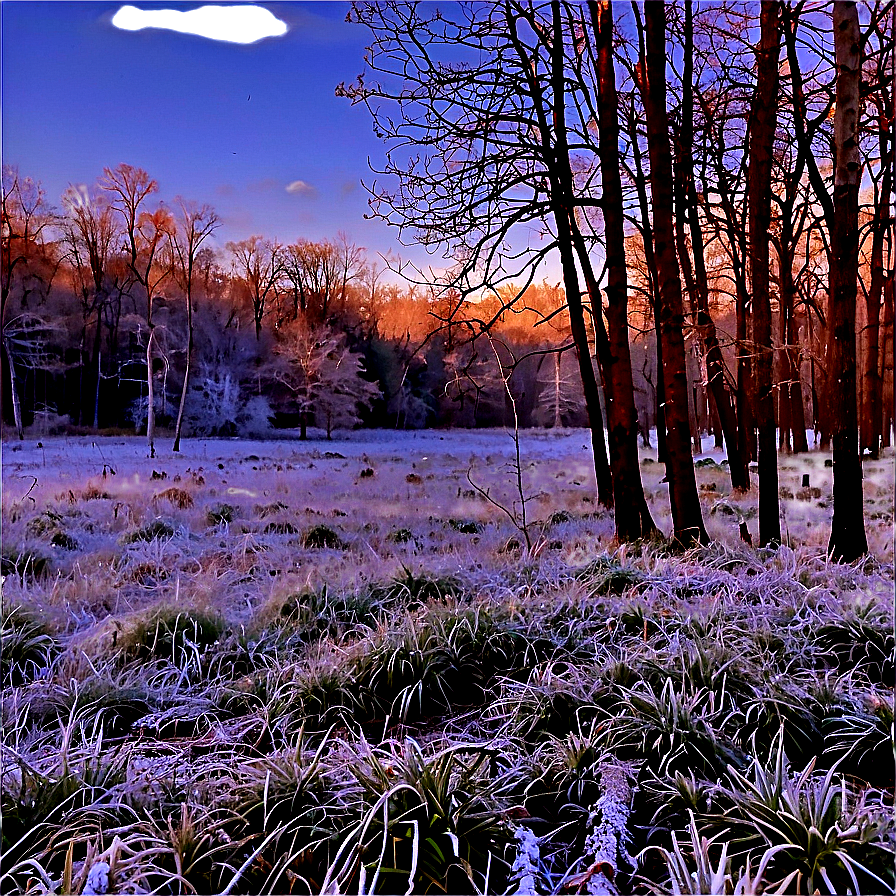 Frosty Morning Woods Png Eld