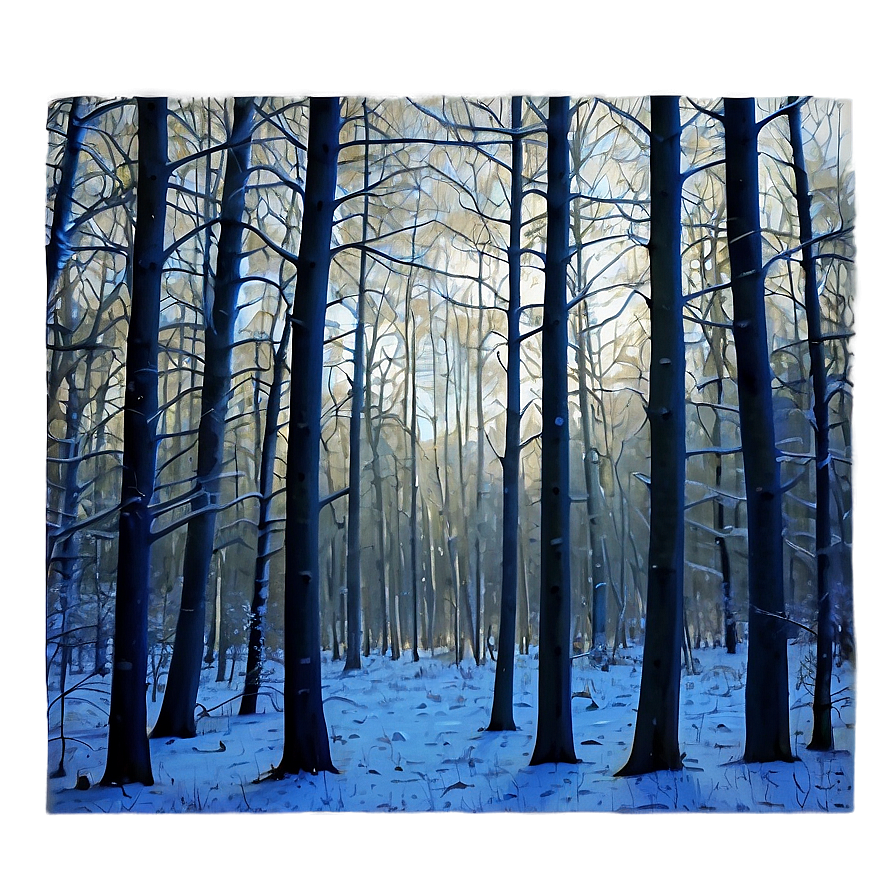 Frosty Morning Woods Png Kvs28