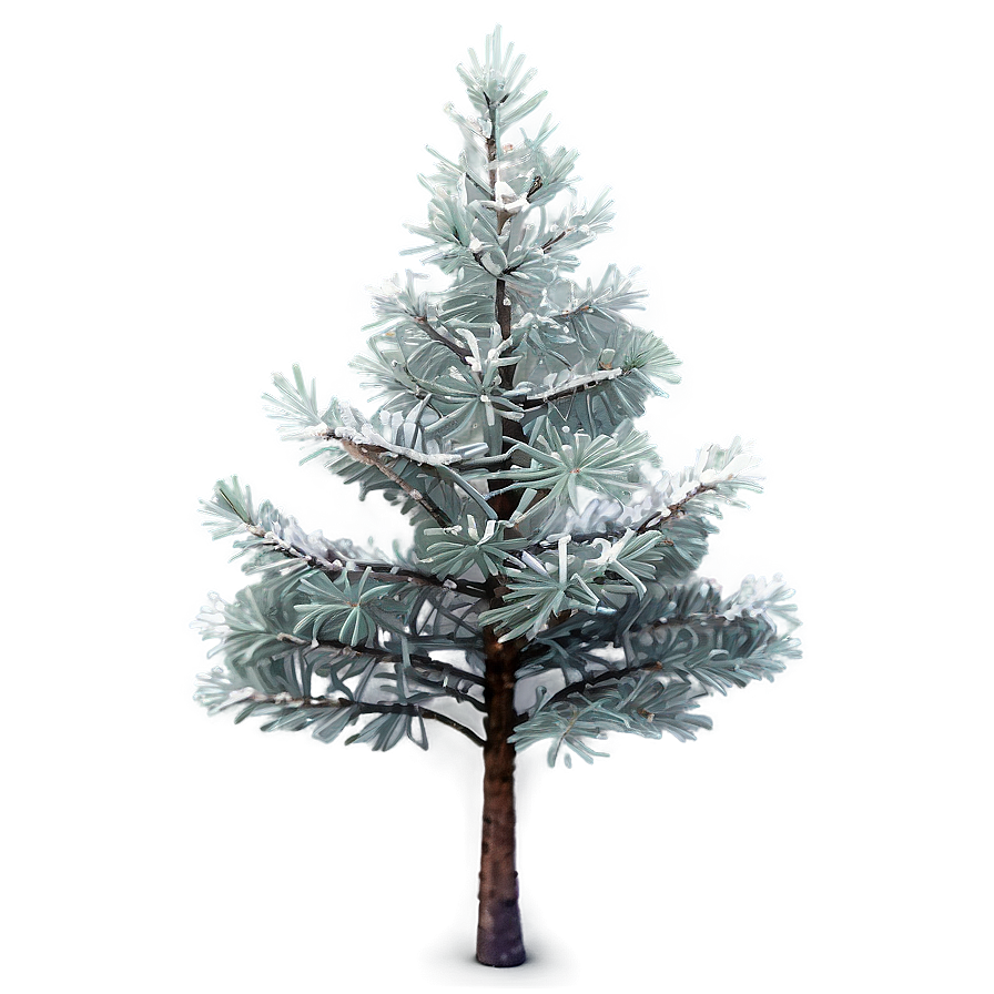 Frosty Pine Trees Png Pyp Image