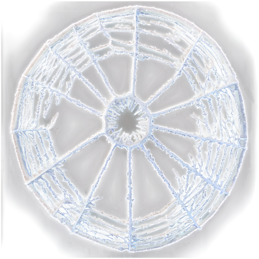 Frosty Spider Web Art