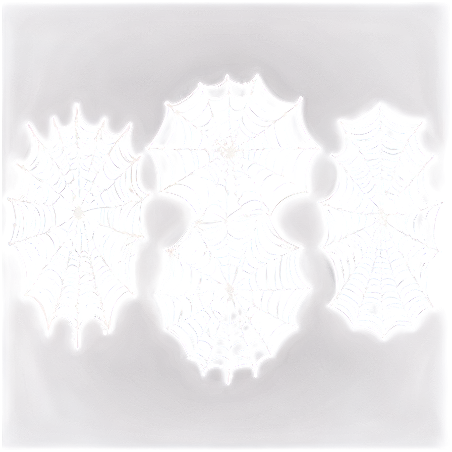 Frosty Spider Webs Illustration