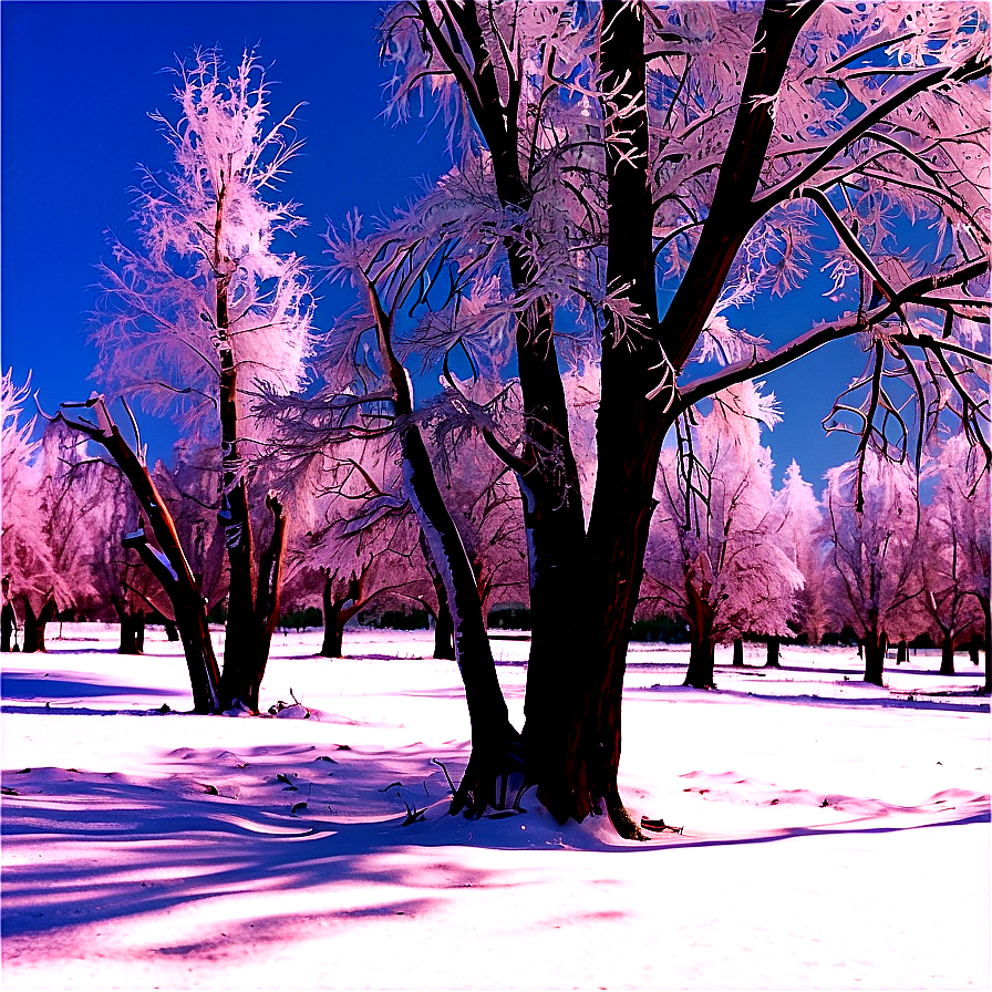 Frosty Winter Trees Landscape Png Hdq