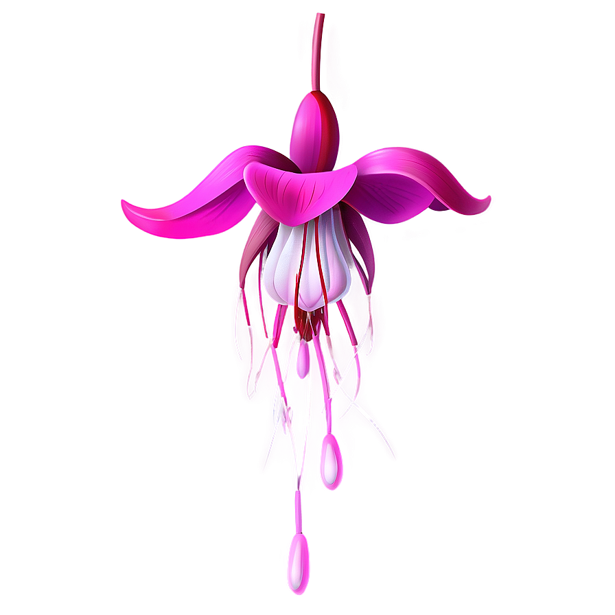 Fuchsia Flower Drawing Png Vbt13