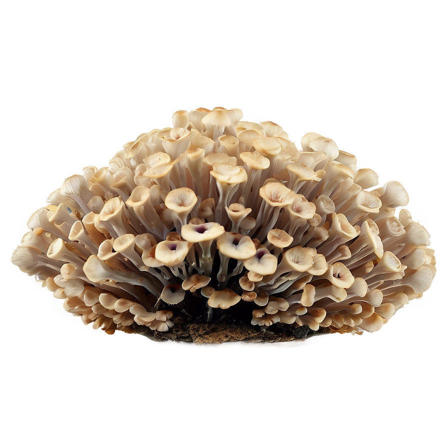 Fungus Among Us Png Kyi