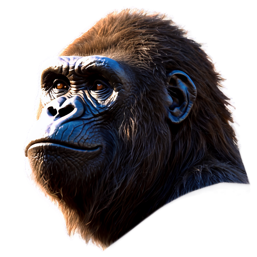 Furious Gorilla Head Png 18