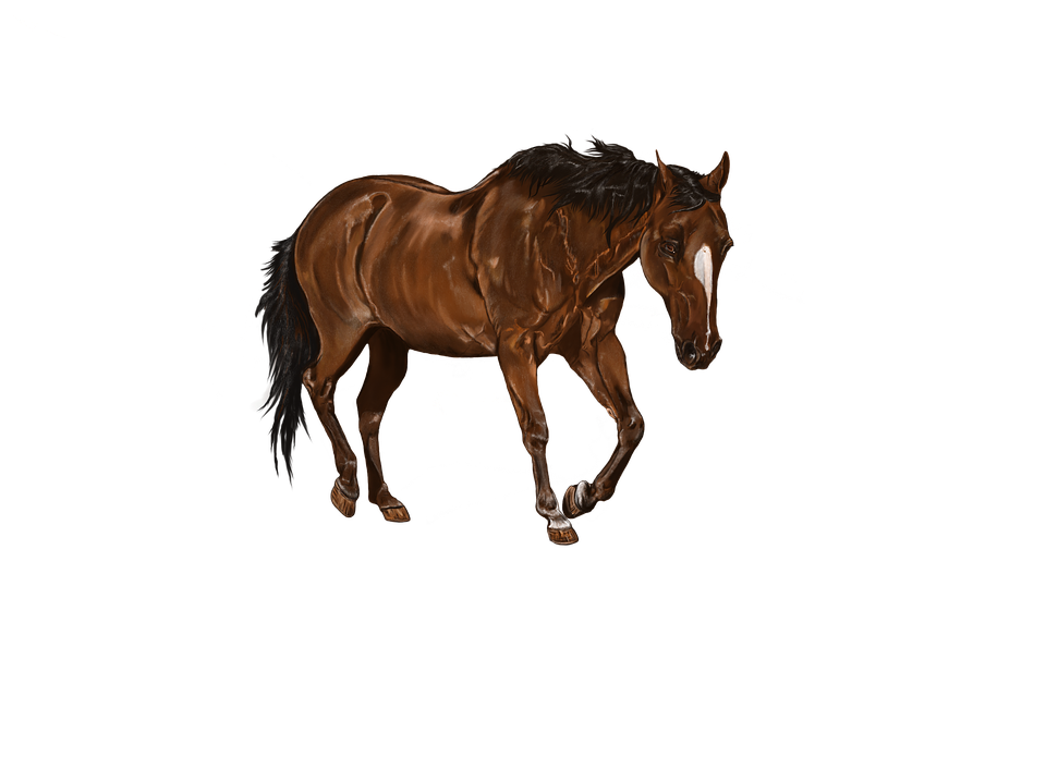 Galloping Brown Horse Illustration