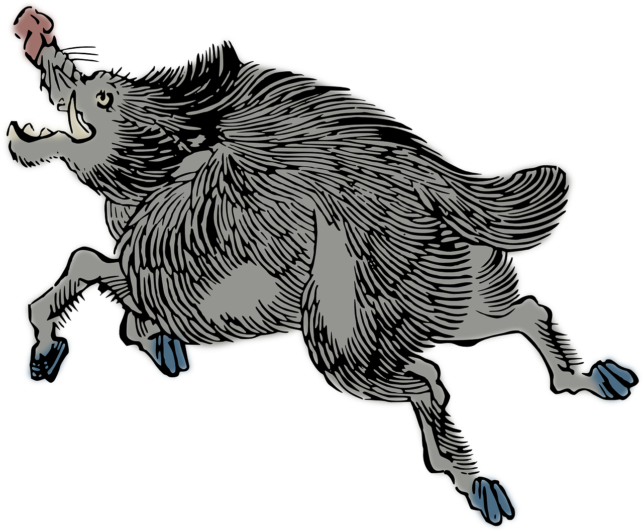 Galloping Wild Boar Illustration