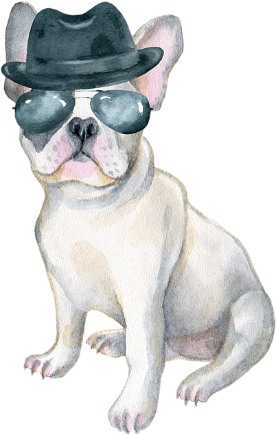 Gangster French Bulldogin Hatand Sunglasses