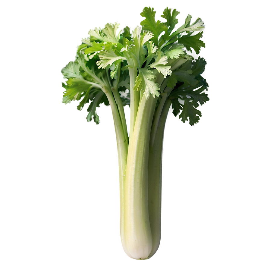 Garden Celery Png Wda94