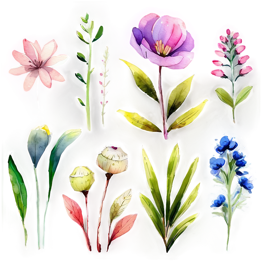 Garden Flower Watercolor Png 06272024