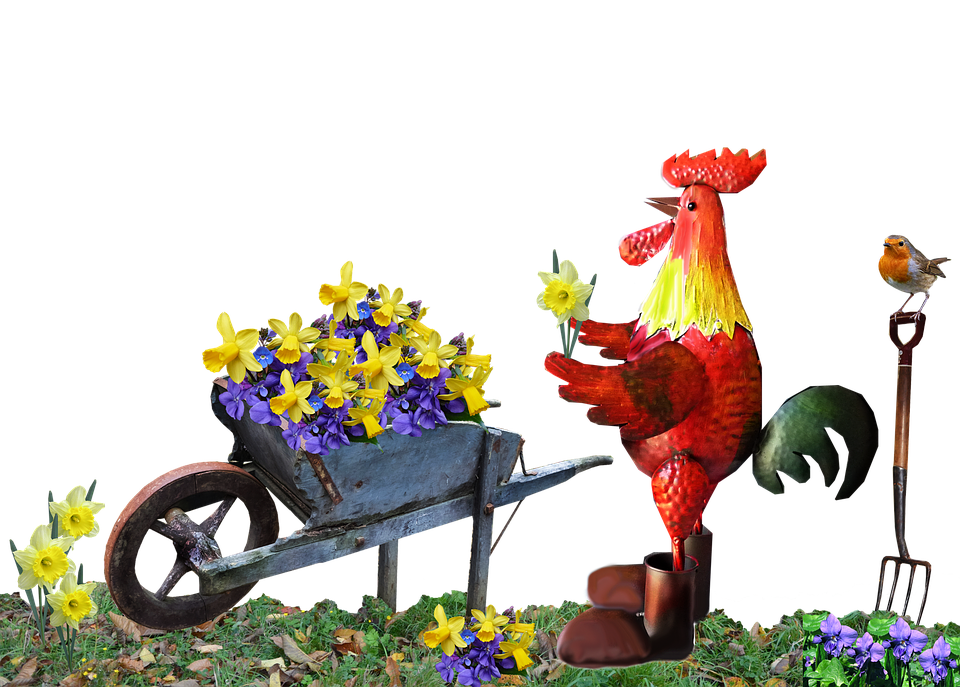 Gardening Roosterwith Flowersand Bird