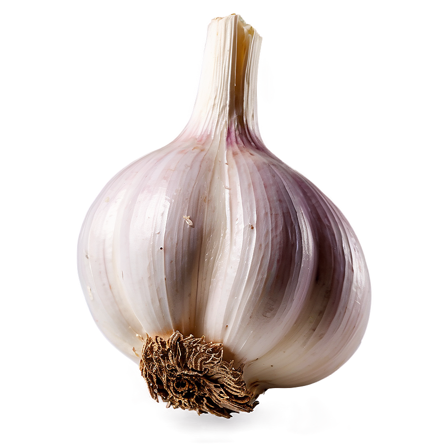 Garlic Bulb Png 05242024