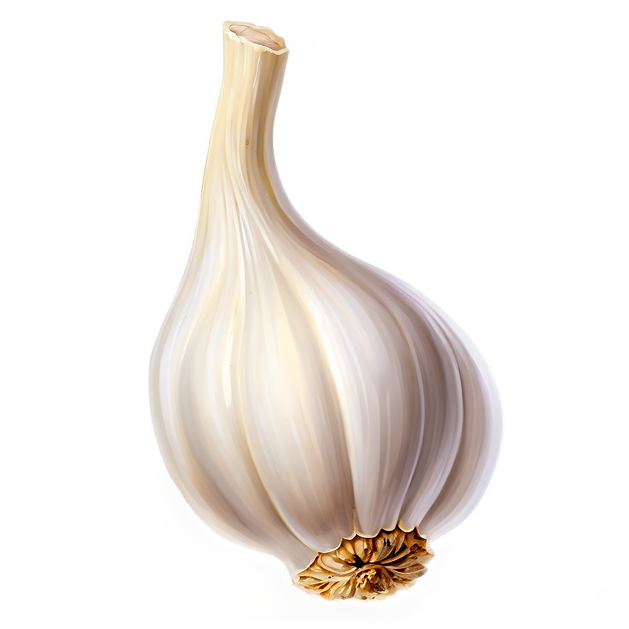 Garlic Cartoon Png 05242024