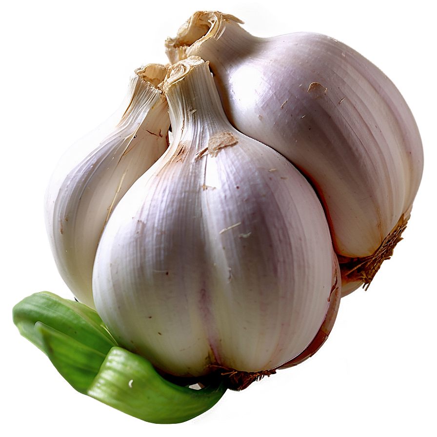 Garlic Chain Png 46