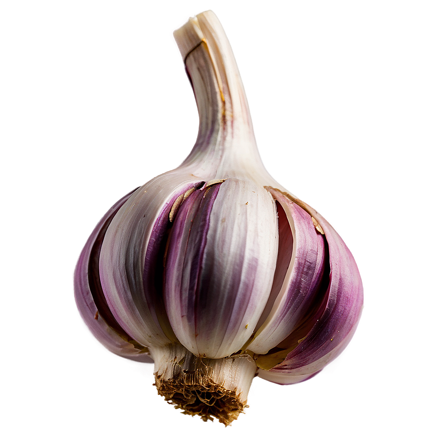 Garlic Clove Isolated Png 23