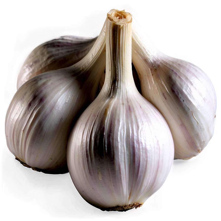 Garlic Clove Isolated Png Adx