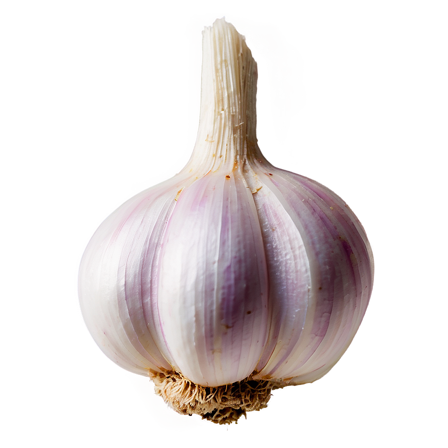 Garlic Cuisine Png 10