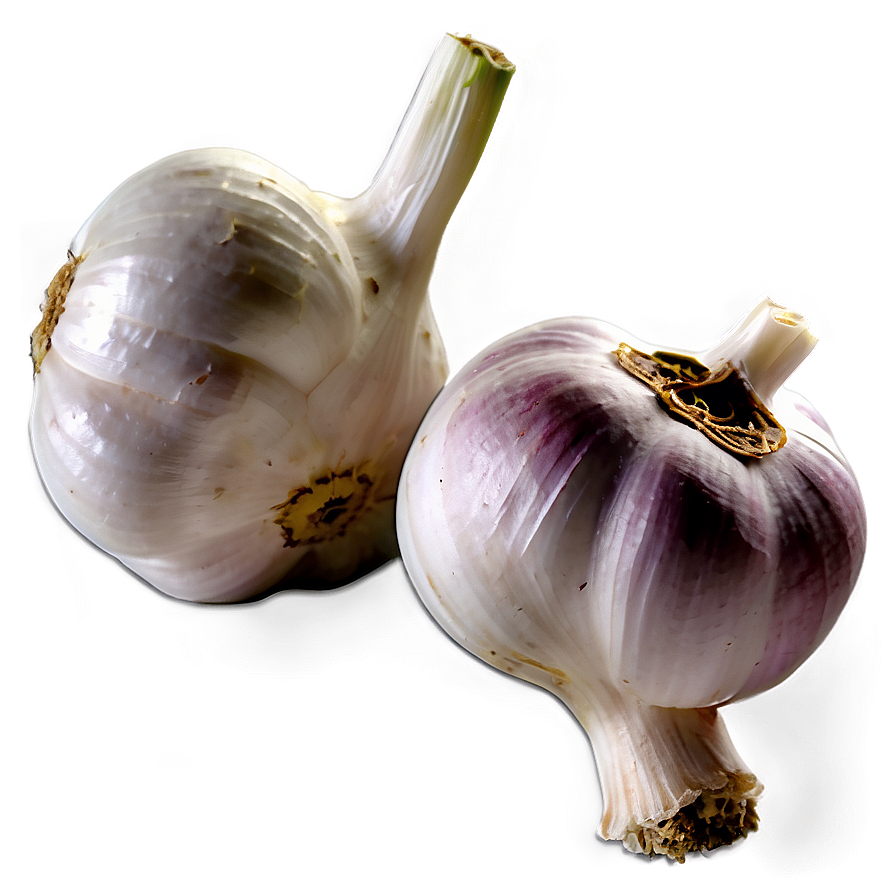 Garlic Field Png 05242024