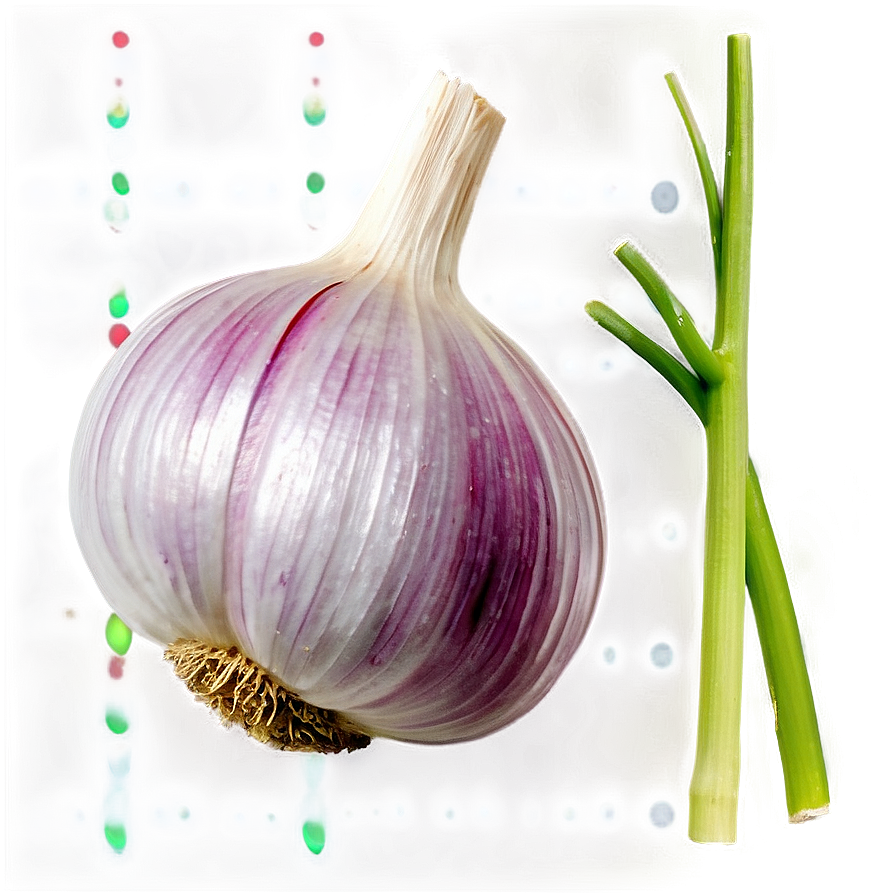 Garlic Flower Png 05242024