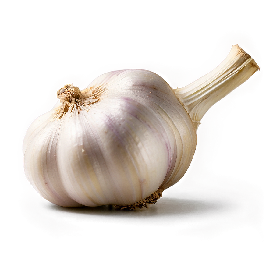 Garlic In Oil Png 05242024