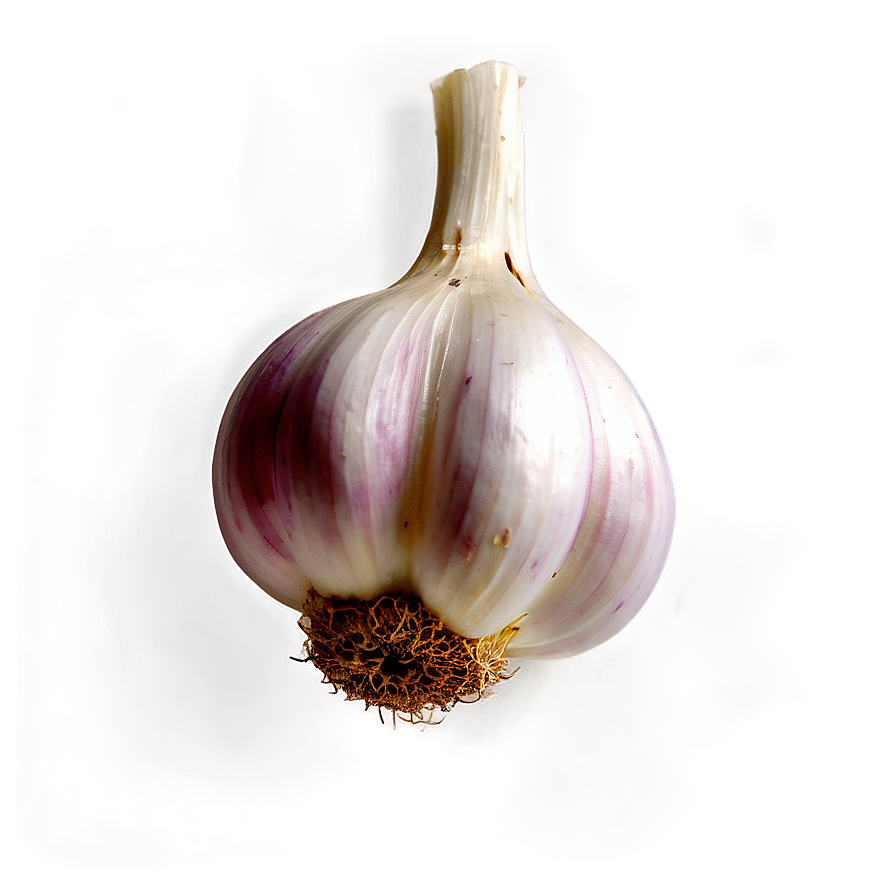 Garlic Infusion Png Xnh