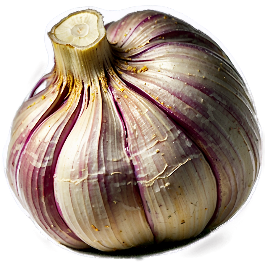 Garlic Powder Png 05242024