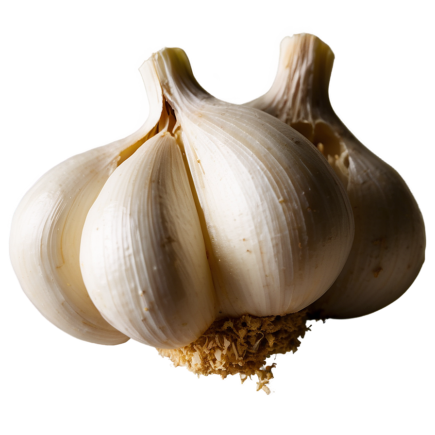 Garlic Powder Png 05242024